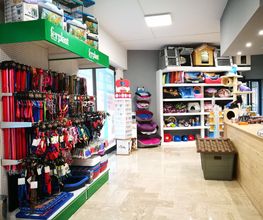 Gallery Cliente