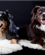 FotoStube Hornig Inh. Sebastian Kassner Bild 15