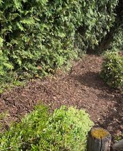 Lenhardts-Gartenpflege Bild 3