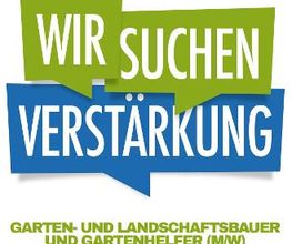 Strack Gartenbau & Containerdienst Bild 10