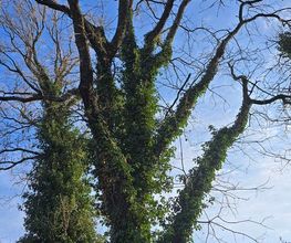 Bourgaud Michel image 9