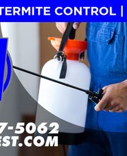 Nitro Pest Solutions, LLC image 20