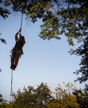 de Jong – Gartengestaltung-Baumpflege Bild 2