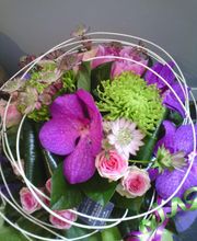 Chlorophylle image 4