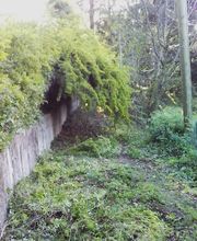 Sos Elagage image 11