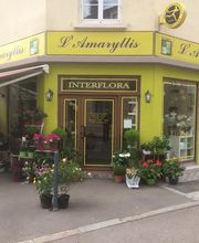 L'Amaryllis image 2