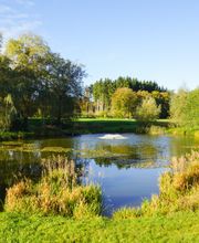 Wanderreitstation Gut Mischenried GmbH Bild 3