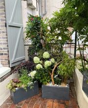 Renard Vincent image 3