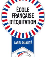 Centre équestre de Villechétif image 8