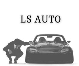 LS Auto image 2