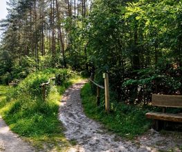 FriedWald Bernau bei Berlin Bild 13