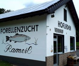 Sauerländer Forellenzucht Thomas Rameil Bild 1