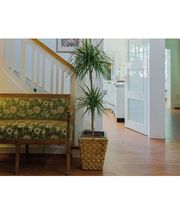 Zahnarztpraxis Dr. Dumm Bild 1