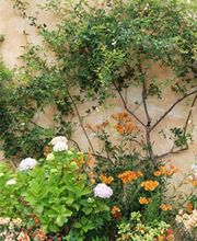 Litas Immobilier image 1