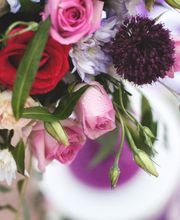 FLORISTIK
Überraschen Sie einen geliebten Menschen oder bringen Sie Leben in die eigenen vier Wände mit schönen Sträußen und Gestecken – saisonal und regional!