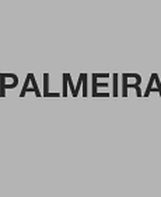 Palmeira Victor image 2