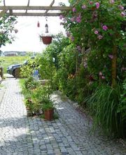 Ralf Krickow Garten- & Landschaftsbau Bild 4