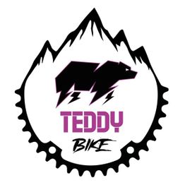 TEDDY BIKE