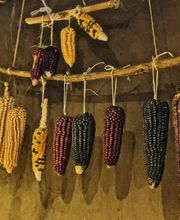 MIQUIZTLI - Cocina mexicana Bild 3