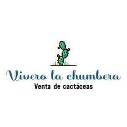 logotipoviverolachumbera.png