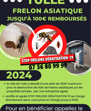 Stop Frelons image 13