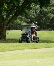 Cart Nation image 1