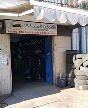 Gallery Cliente