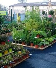 Gamm Vert Marans image 13