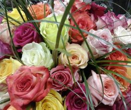Flowers image 16
