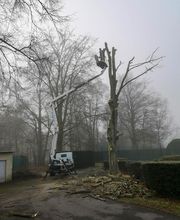 AEC Espaces Verts image 7