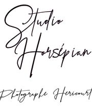 Studio Horsepian image 9