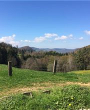 Ferme-Restaurant Pierreberg Bild 4