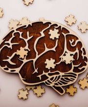 Kraftwerk ganz gesund GmbH Bild 2