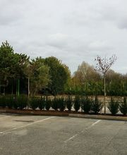 ULV creation de jardins Services image 8