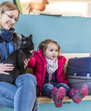 AniCura Tierklinik Thun AG Bild 2