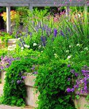 Etienne Jérôme image 1