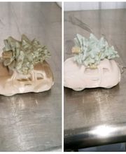 Steamatic of Grand Forks image 16