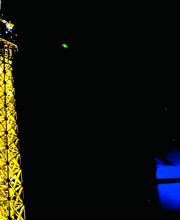 WILD projection image 4