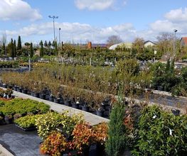 Kienzle Garten GmbH Bild 11