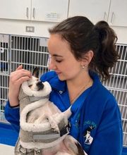 Caring Hands Animal Hospital - Clarendon image 2