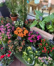 L'Atelier Fleuri image 1