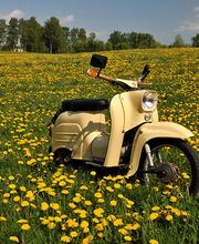 KFZ-Service Meißner Bild 3