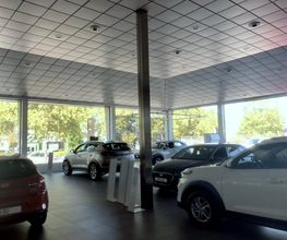 AutolasaHyundai8.jpg