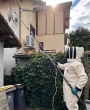 Stop Frelons image 15