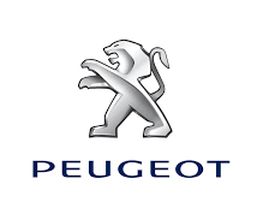 Adl.Ve- Agent Peugeot image 14
