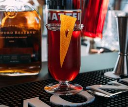 Barfly Society image 10
