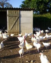 La Ferme Du Pourpray image 1