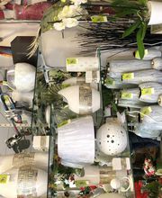 Fleurs d'Amandine image 13