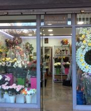 Floristerias_Araceli_Cementerio_Granada.jpg