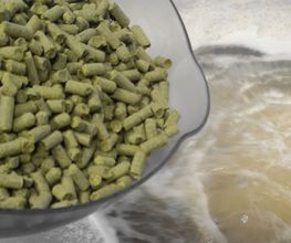 Bière l'Agéenne image 2